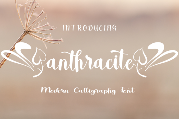 Anthracite: A Whimsical Script Font for Thoughtful Editorial Design
