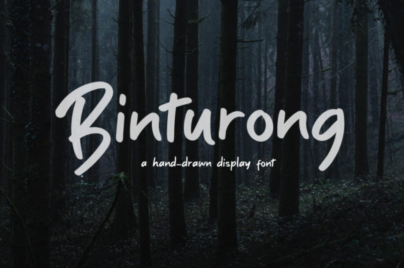 Binturong Script Font for Playful, Clear Campaign Typography