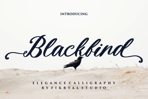 Blackbird: A Bold Script Handwritten Font for Scroll-Stopping Brand Content