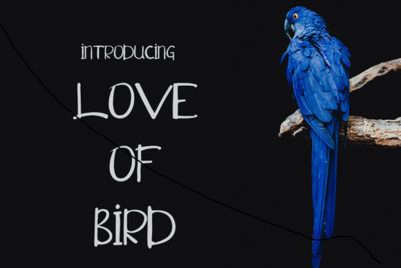 Love of Bird: A Casual Script Handwritten Font for Warm Brand Identities
