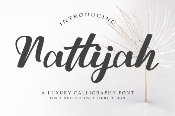 Nattijah Script Handwritten Font for Makers