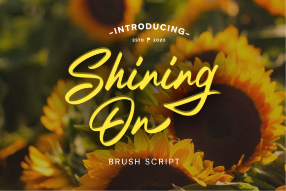 Shining on Script Handwritten Font for Elegant Digital Branding